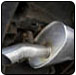 Mufflers, Exhaust and Emission System Repairs